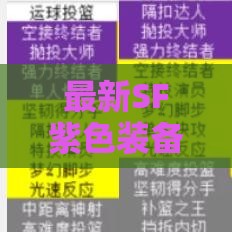 最新SF紫色装备属性加成攻略，如何打造最强角色