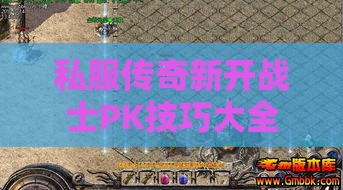 私服传奇新开战士PK技巧大全：如何利用组合技能战胜对手