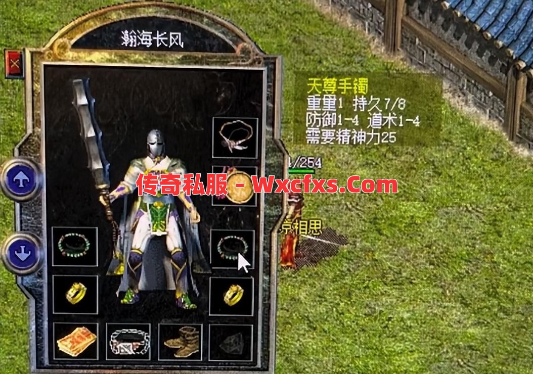防御戒指对法师来说很好用