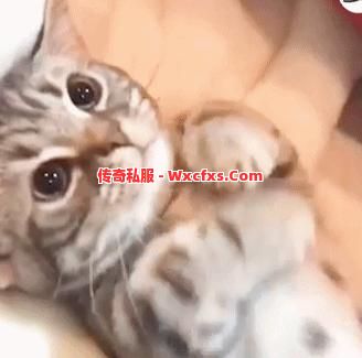 当有人和你抢怪的时候你会怎么做？
