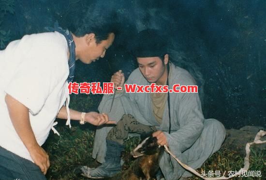 千年树妖能爆出很多的好装备